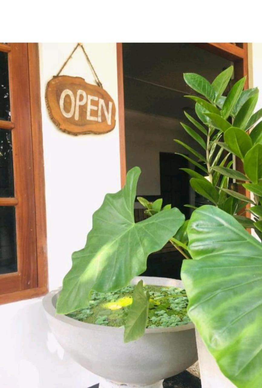 The Lagon House Dikwella Ngoại thất bức ảnh